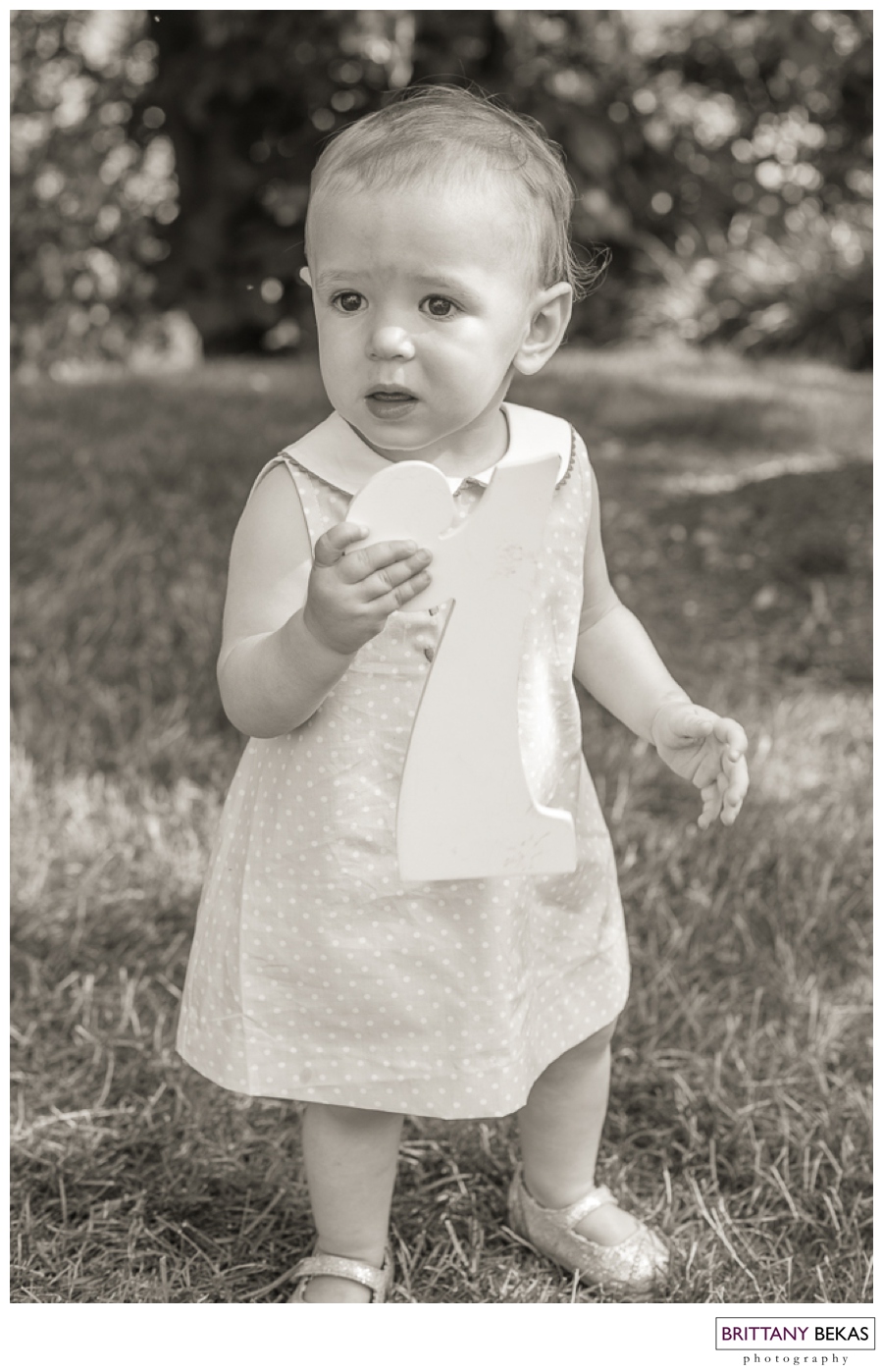 Naperville Baby Photographer First Birthday | Brittany Bekas Photography
