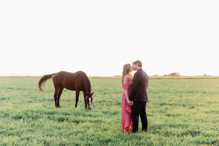 Horse Engagement Photo