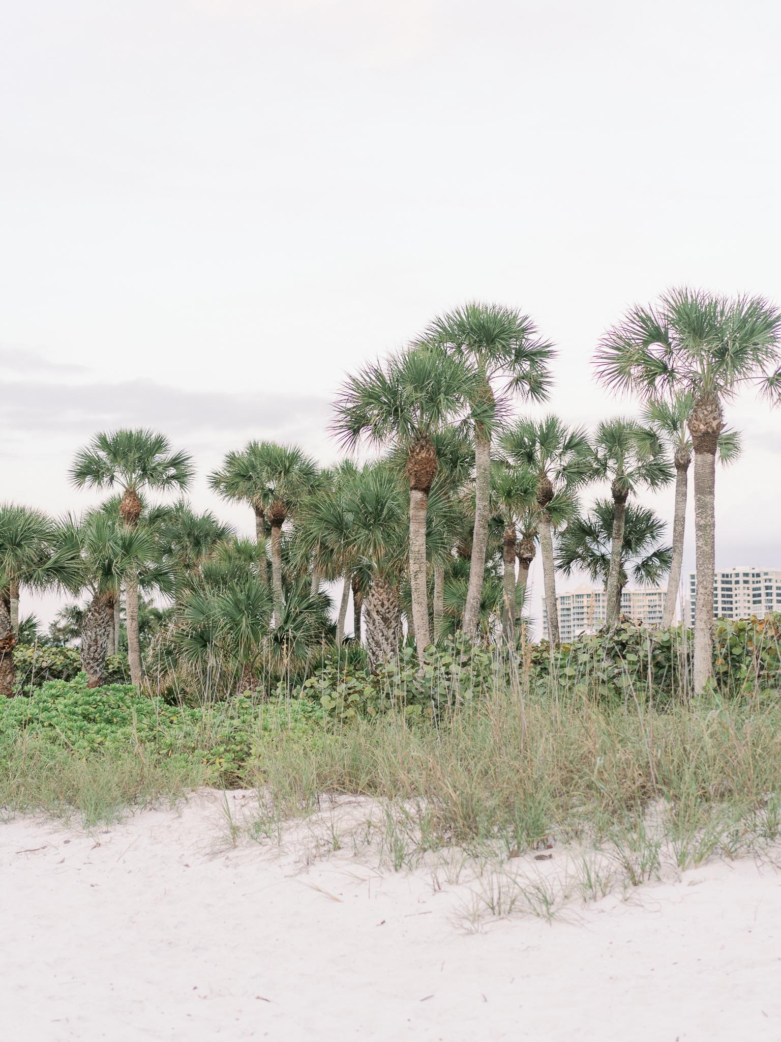 Naples Southwest Florida Beach Photographer