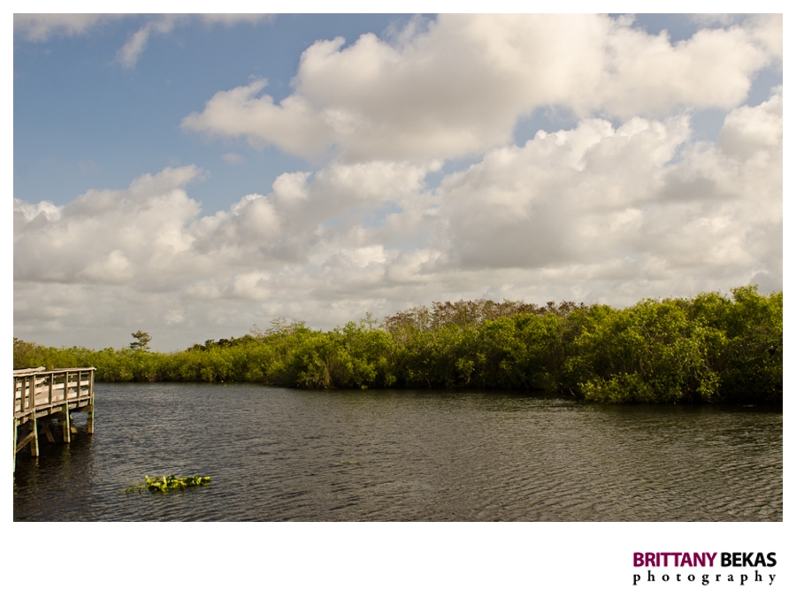 Florida Everglades | Brittany Bekas Photography // Destination Photographer