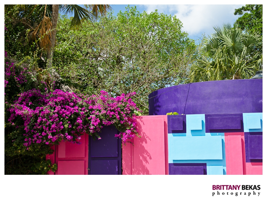 Cozumel Mexico | Brittany Bekas Photography // Destination Photographer