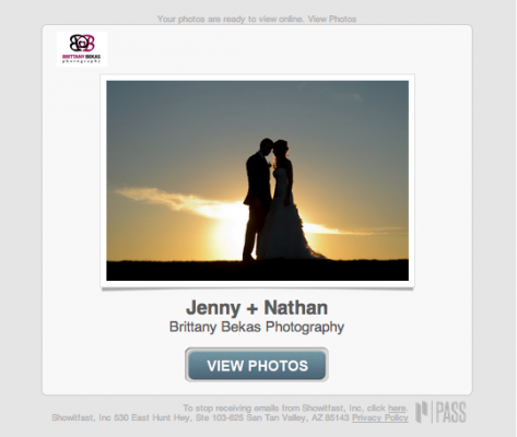 Chicago Wedding + Lifestyle Photography PASS Online Gallery | Brittany Bekas Photography