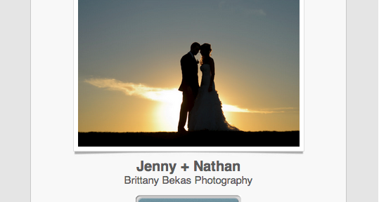 Chicago Wedding + Lifestyle Photography PASS Online Gallery | Brittany Bekas Photography