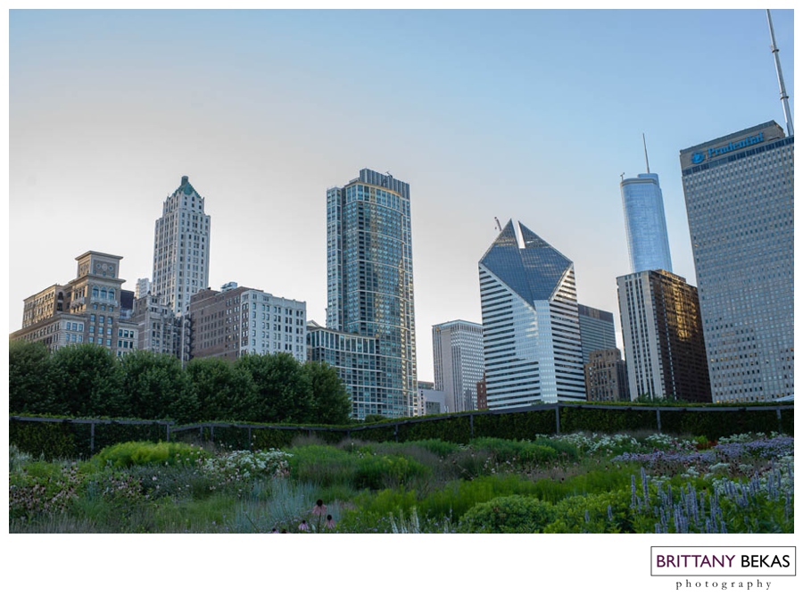 Chicago Skyline | Brittany Bekas Photography | Wedding + Destination 