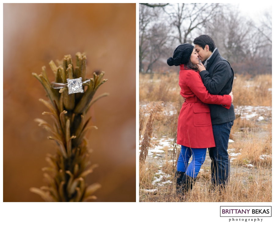 Chicago Proposal // Brittany Bekas Photography // Chicago + destination wedding photographer
