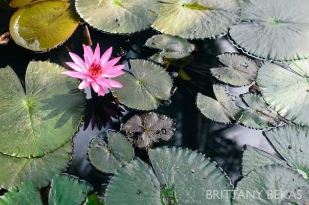 Ho Chi Minh City, Vietnam // Brittany Bekas Photography // www.brittanybekas.com