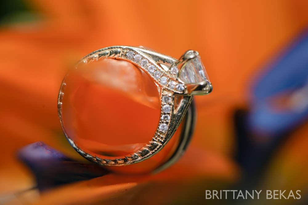 engagement ring // brittany bekas photography - www.brittanybekas.com 