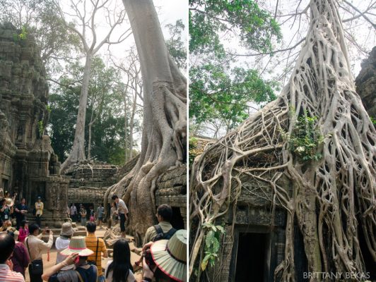 Siem Reap, Cambodia + Angkor Wat in photographs // brittany bekas photography // www,brittanybekas.com