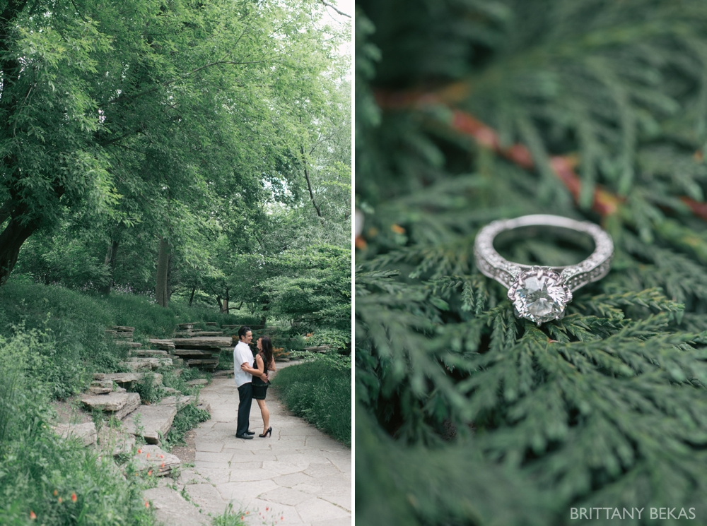 Alfred Caldwell Lily Pool Chicago Engagement Photos - Brittany Bekas Photography_0012