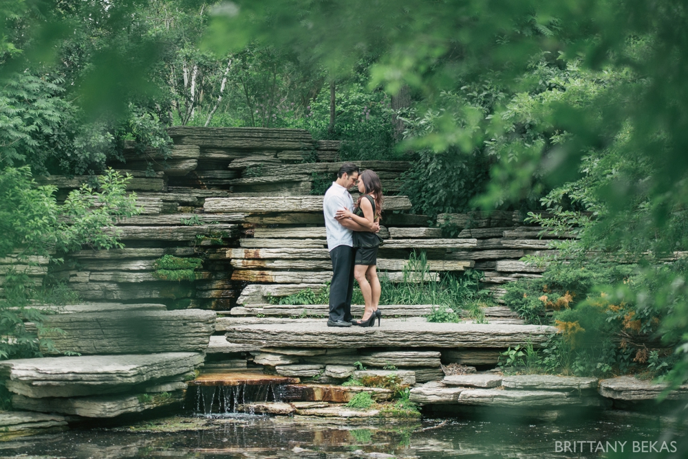 Alfred Caldwell Lily Pool Chicago Engagement Photos - Brittany Bekas Photography_0015