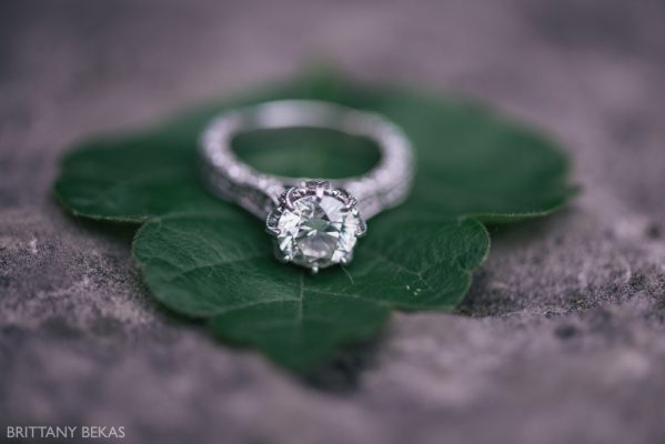 Alfred Caldwell Lily Pool Chicago Engagement Photos – Brittany Bekas Photography_0024