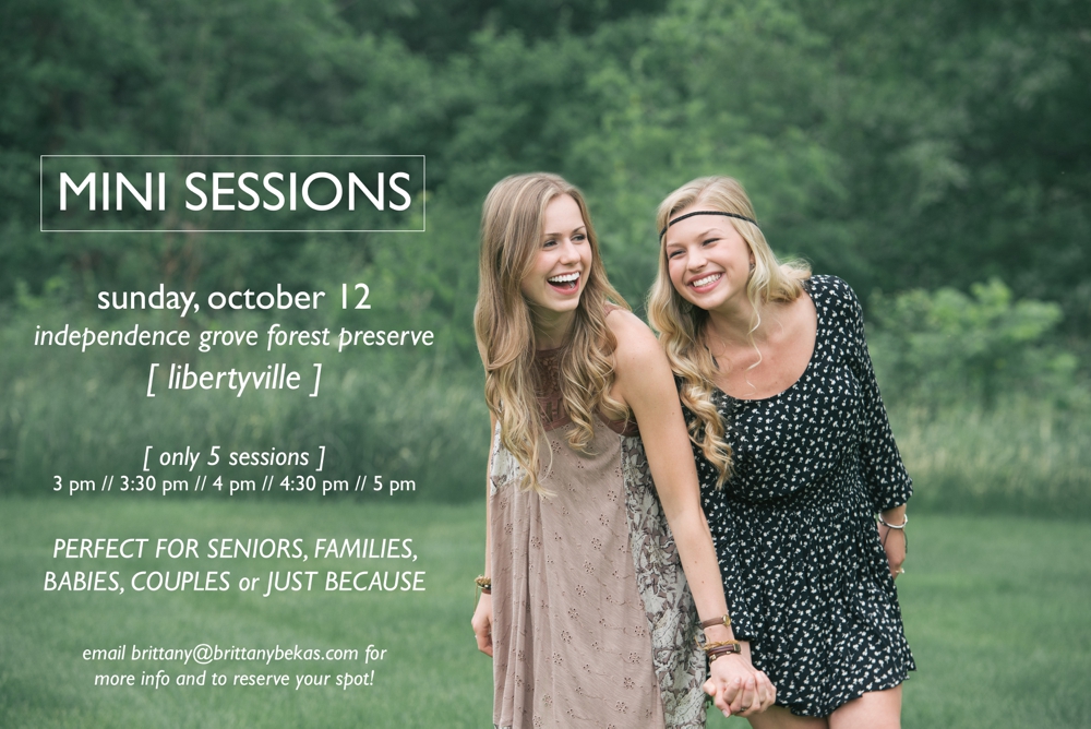 Chicago Fall Mini Sessions Seniors Babies Families Engagement Lifestyle Libertyville - Independence Grove Forest Preserve