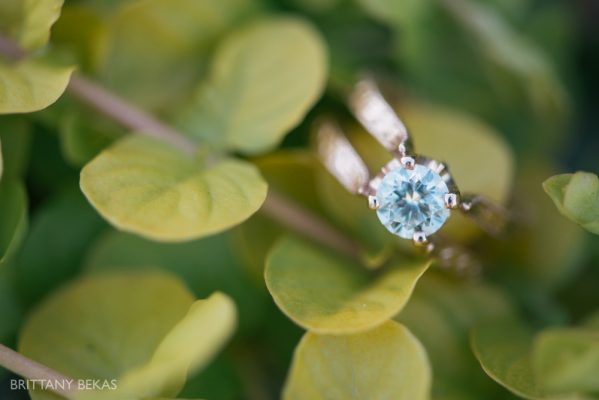 Chicago Engagement Adler Planetarium Engagement Photos_0015