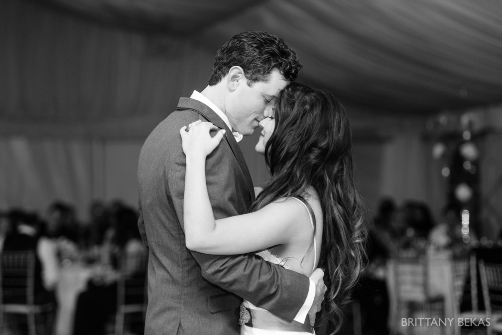 Brittany Bekas Photography - Best of 2014 Chicago Wedding Photos_0017