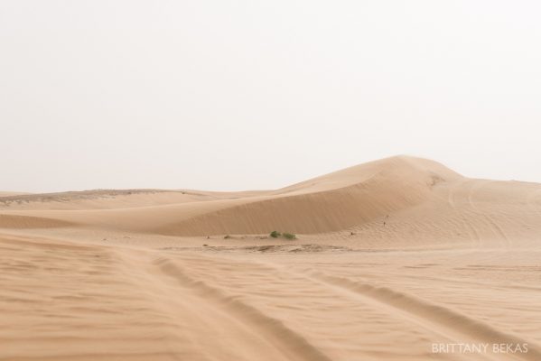 Abu Dhabi Photos Brittany Bekas Photography International Photographer_0020