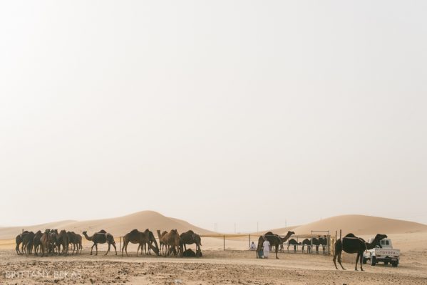 Abu Dhabi Photos Brittany Bekas Photography International Photographer_0021