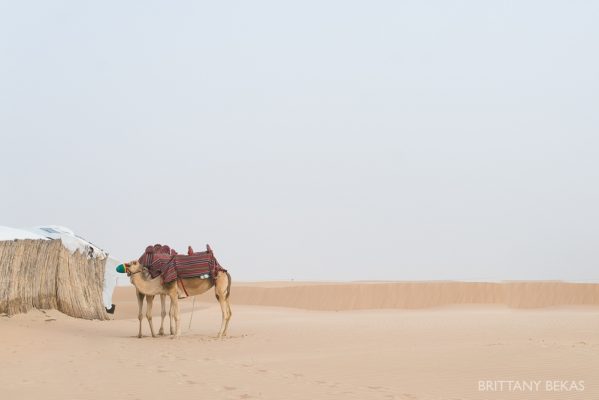 Abu Dhabi Photos Brittany Bekas Photography International Photographer_0026