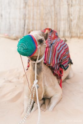 Abu Dhabi Photos Brittany Bekas Photography International Photographer_0027