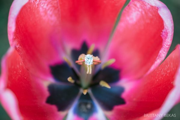 Chicago Engagement Lincoln Park Engagement Photos – Brittany Bekas Photography_0015