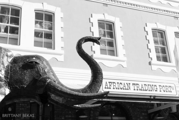 South Africa Cape Town Travel Photos_0012