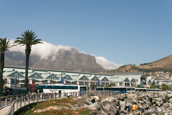 South Africa Cape Town Travel Photos_0020