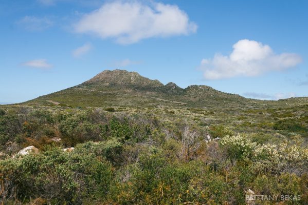 South Africa Cape Town Travel Photos_0053
