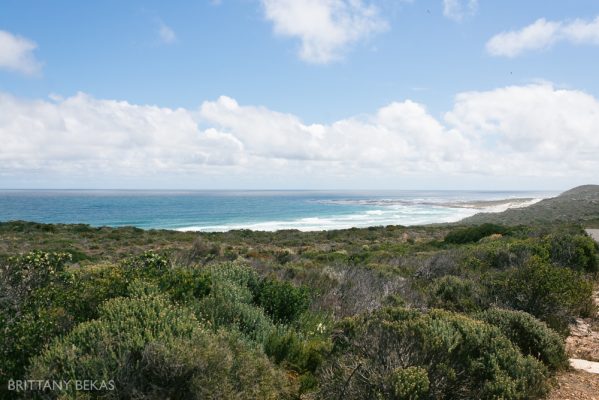 South Africa Cape Town Travel Photos_0055