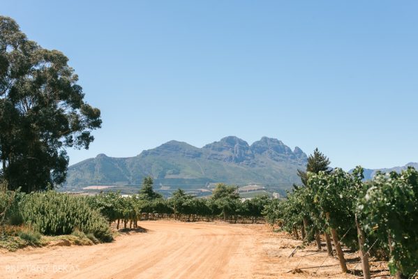 South Africa Cape Town Travel Photos_0059