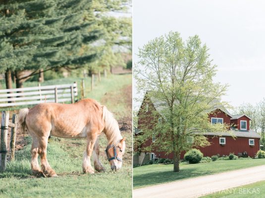 Galena Wedding – Oak Hill Wedding Photos – Brittany Bekas Photography_0003
