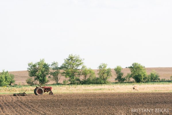 Galena Wedding – Oak Hill Wedding Photos – Brittany Bekas Photography_0004