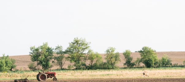 Galena Wedding – Oak Hill Wedding Photos – Brittany Bekas Photography_0004