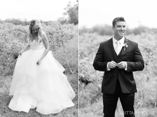 New Buffalo Wedding – Willow Harbor Vineyards Wedding Photos – Brittany Bekas Photography_0028