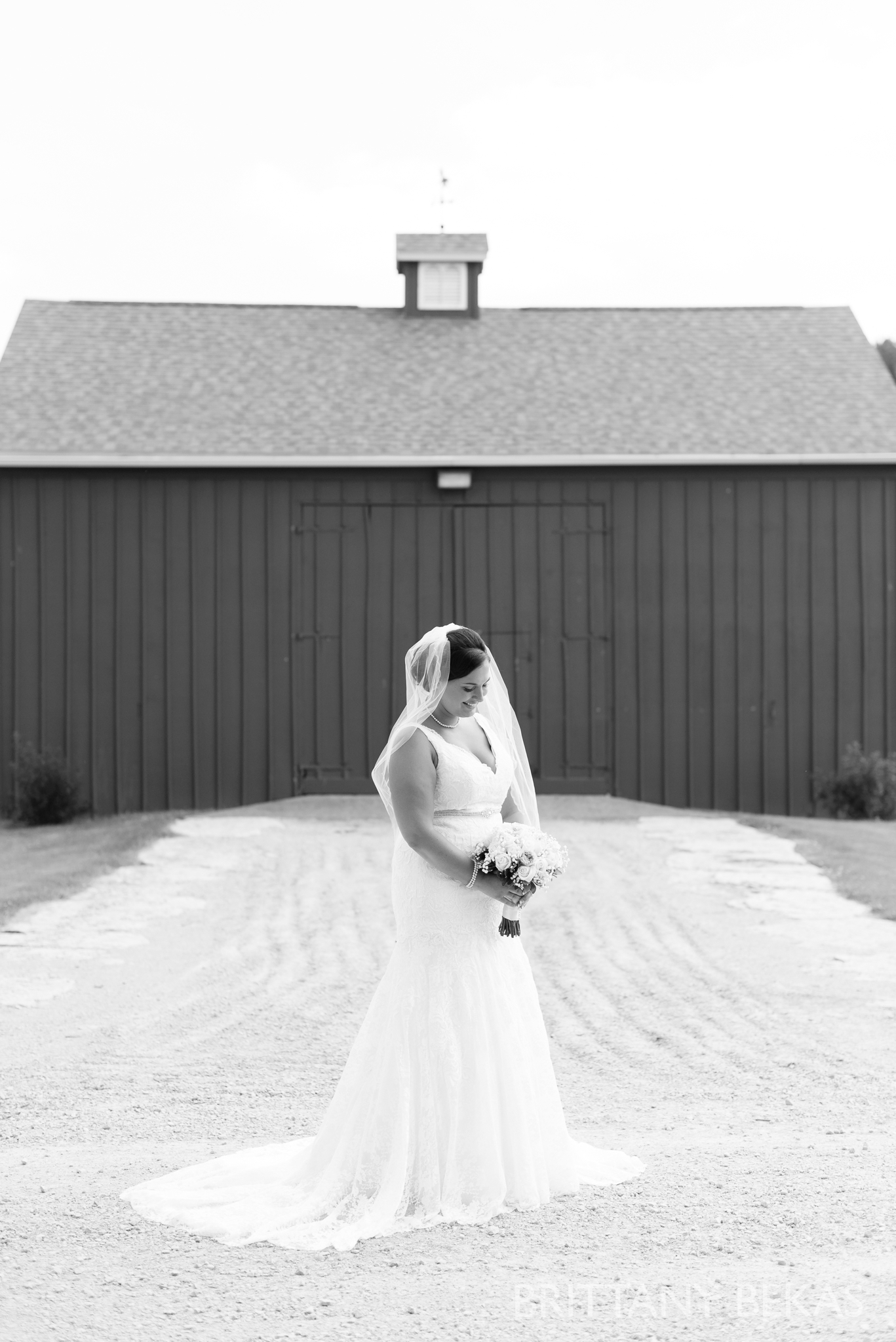 Oak Hill Galena Wedding Photos - Brittany Bekas Photography_0017
