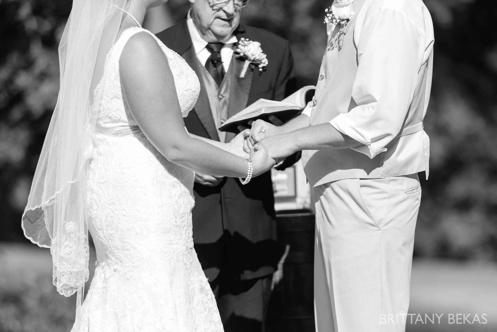 Oak Hill Galena Wedding Photos - Brittany Bekas Photography_0025