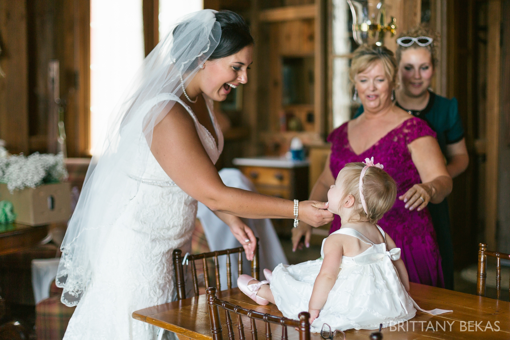 Oak Hill Galena Wedding Photos - Brittany Bekas Photography_0037