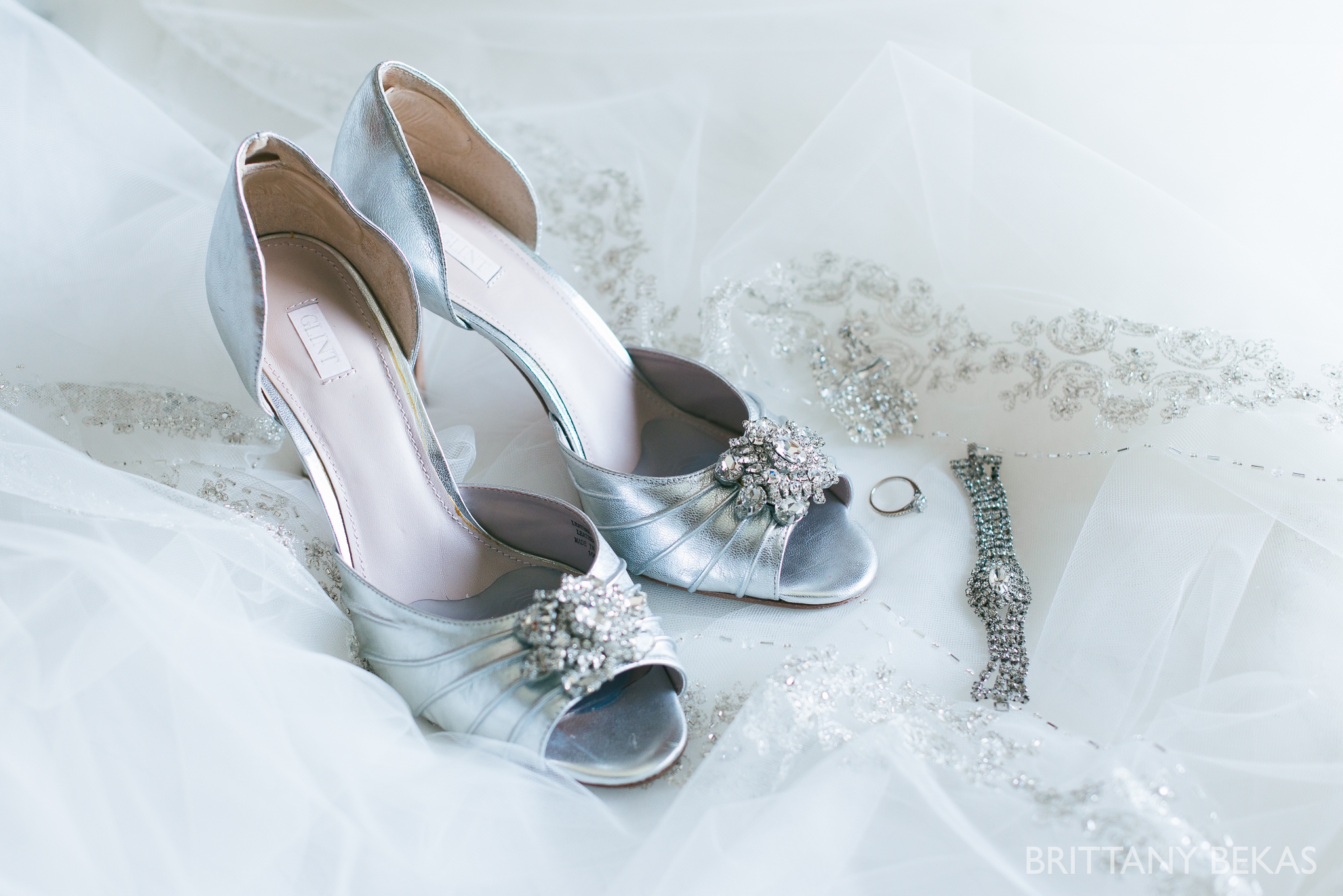 Patrick Haley Mansion Wedding - Brittany Bekas Photography_0001