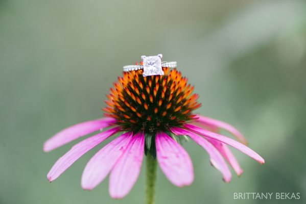 chicago-engagement-photos-lincoln-park-brittany-bekas-photography_0019