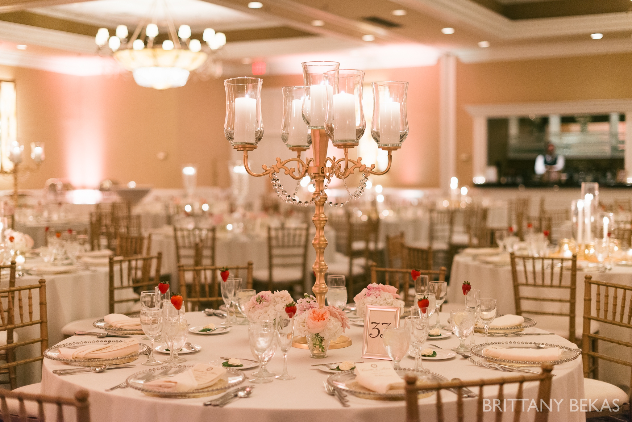 Chicago Wedding Photos St Edmunds + Concorde Banquets- Brittany Bekas Photography_0047