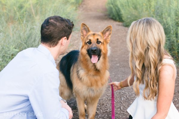 lincoln-park-chicago-engagement-photos-brittany-bekas-photography_0003