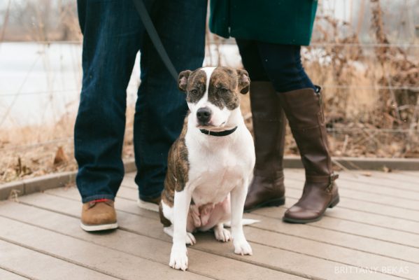 lincoln-park-engagement-session-chicago-engagement-photos_0003
