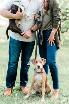 Chicago Engagement Photographer – Chicago Botanic Garden Engagement Photos-3