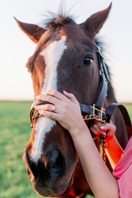 Fine Art Chicago Wedding Engagement Photographer – Horse Barn Engagement Session Photos-14