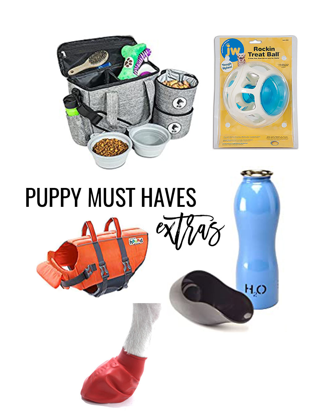 goldendoodle must haves – what you need for your doodle puppy puppy must haves