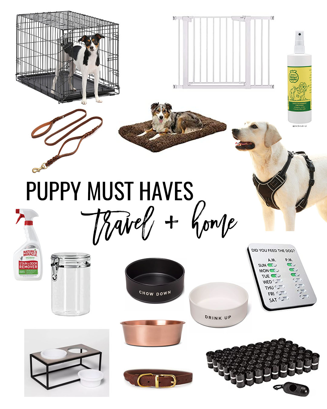 goldendoodle must haves – what you need for your doodle puppy puppy must haves