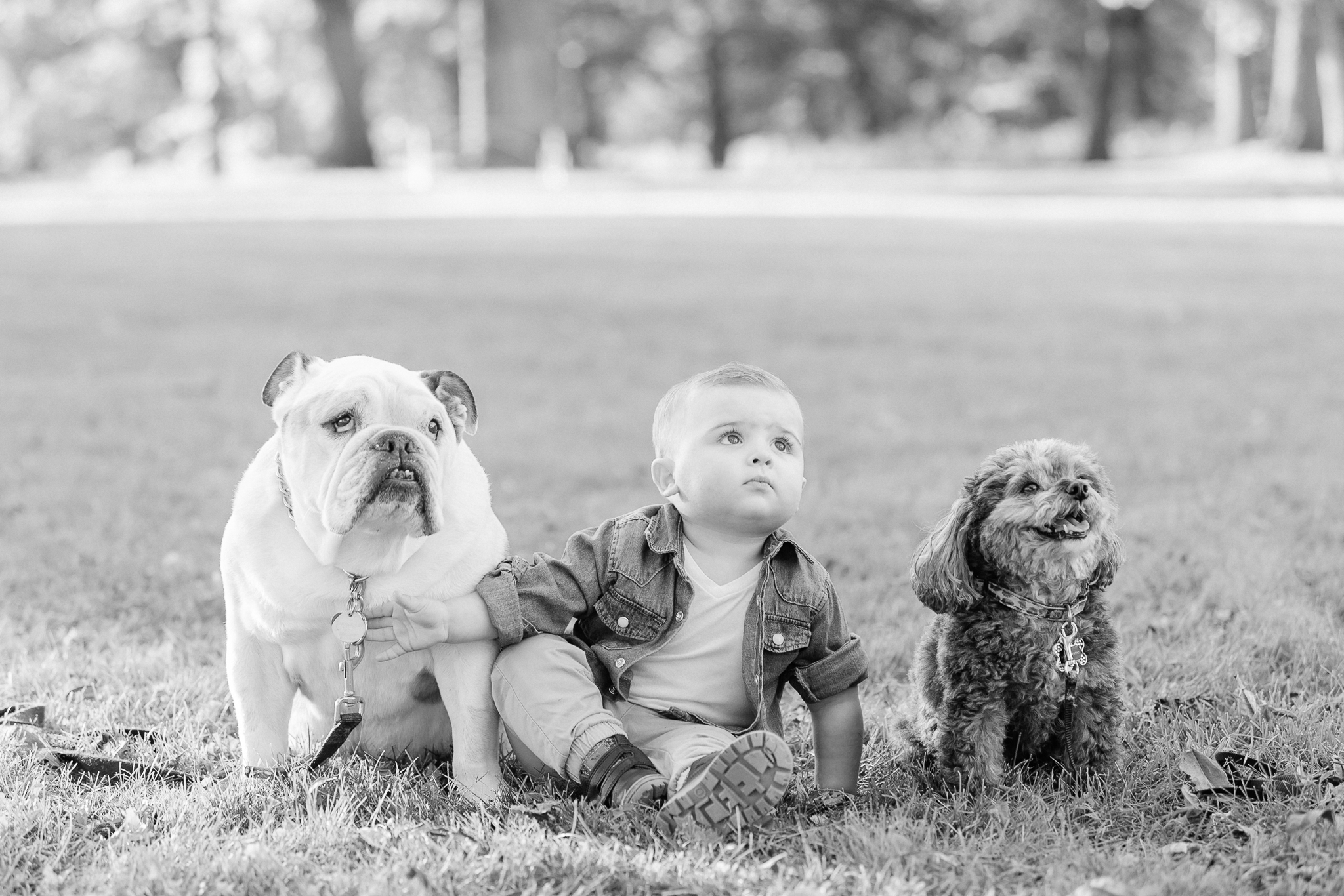 Dog Friendly Photo Locations in Chicago Suburbs - Chicago Family Photographer