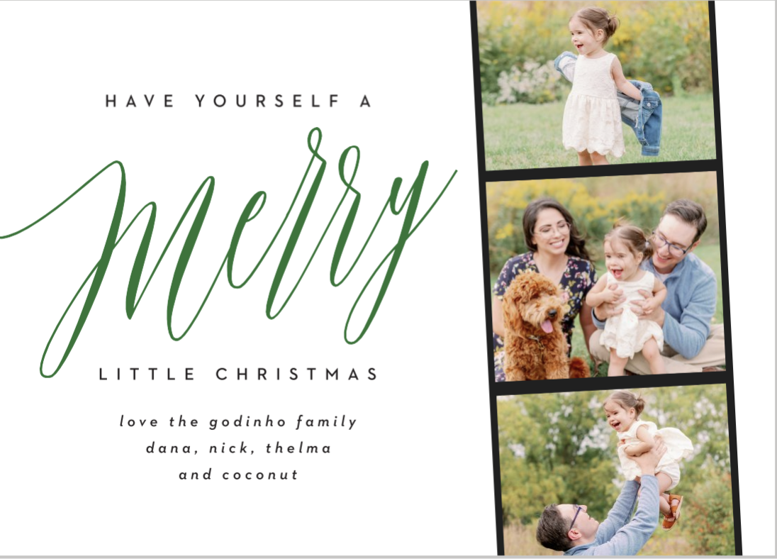 Modern Holiday Cards Christmas Cards Basic Invite Sale