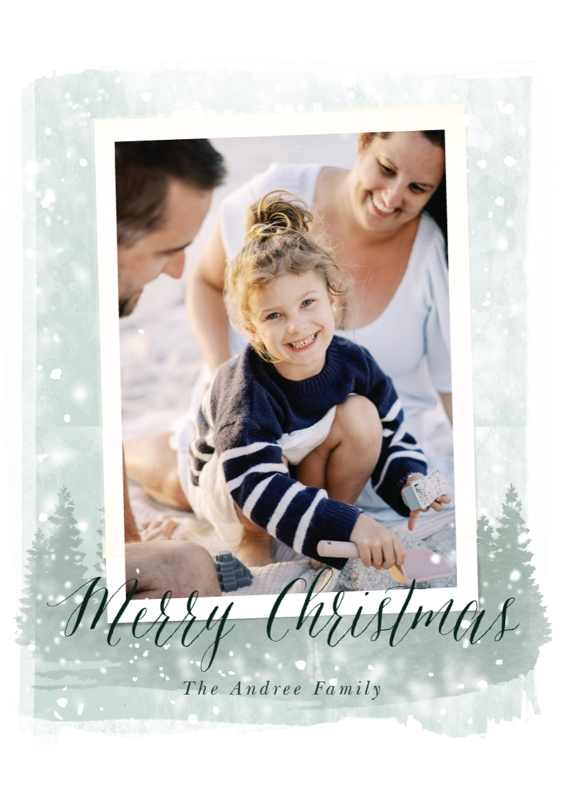 Classic Christmas Holiday Photo Cards