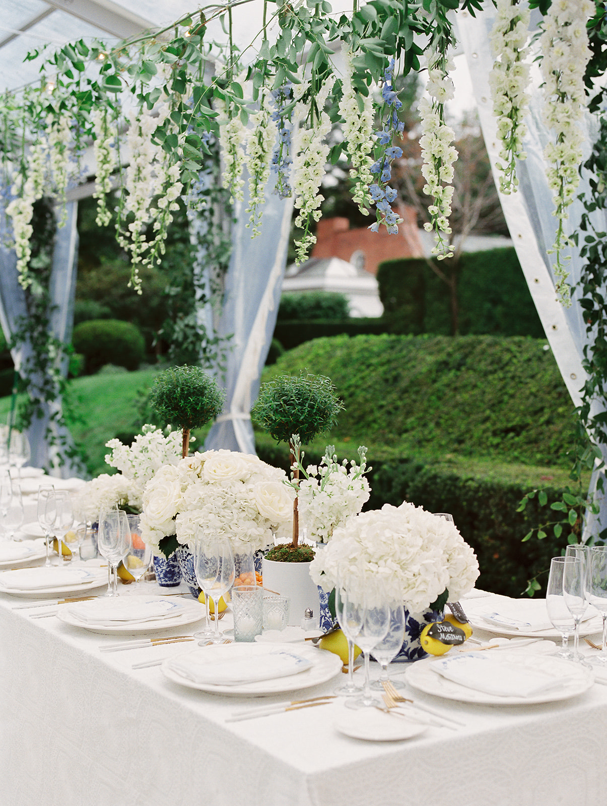 Blue Tented Reception