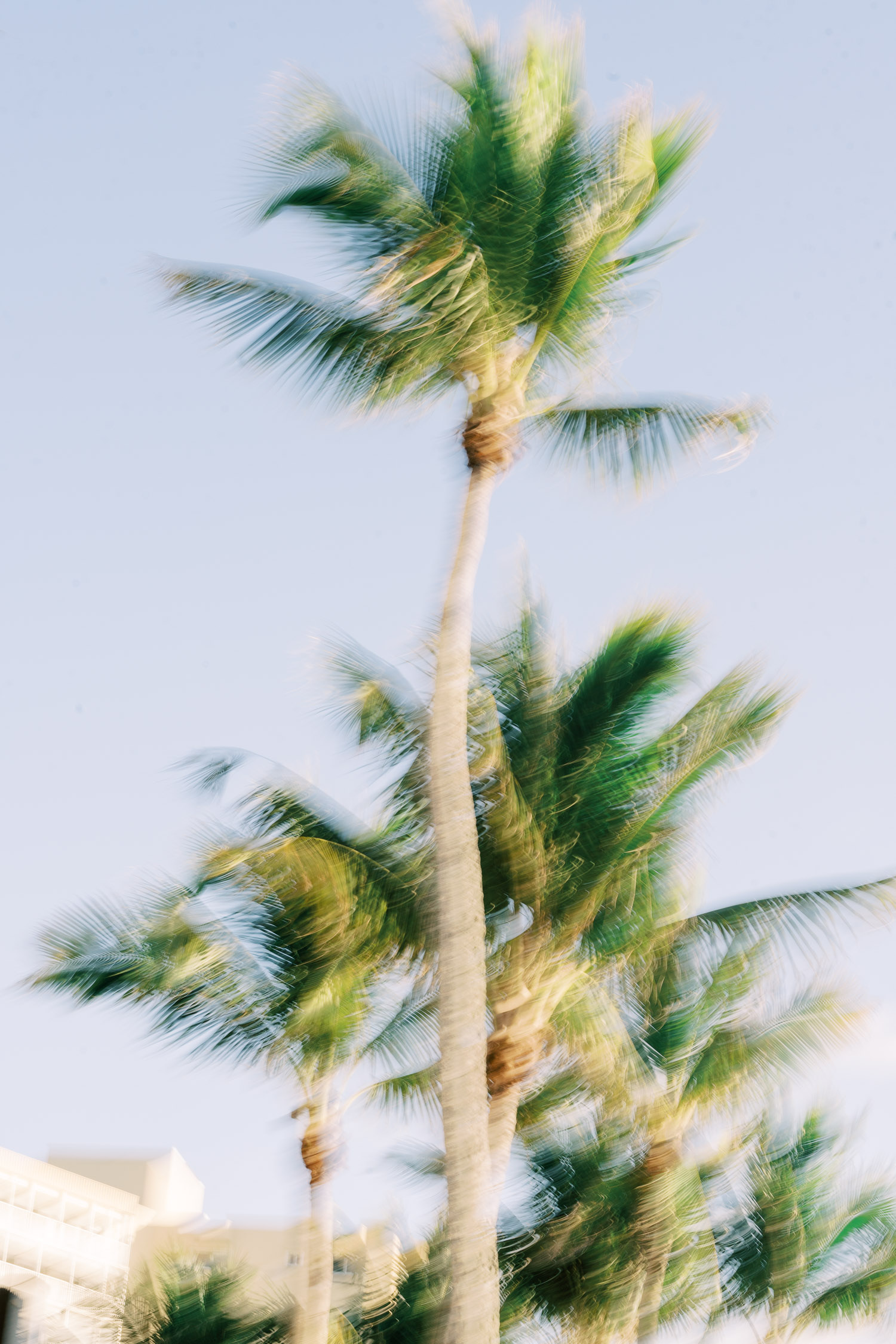 Naples Proposal Photographer - La Playa Engagement - Brittany Bekas 2024-4