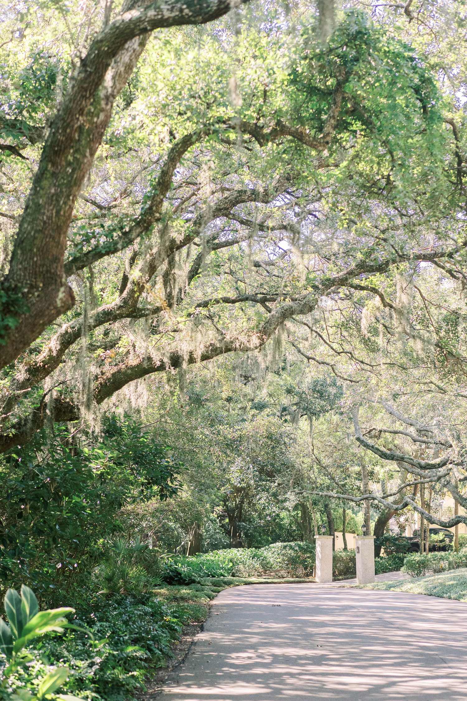 The Amelia Island Club Wedding Photos – Brittany Bekas 2024-3